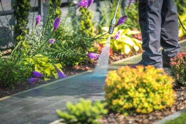 Best Sidewalk and Walkway Cleaning  in Crawfordsville, IN